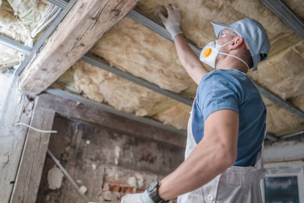 Best Insulation Maintenance and Repair in High Rolls, NM