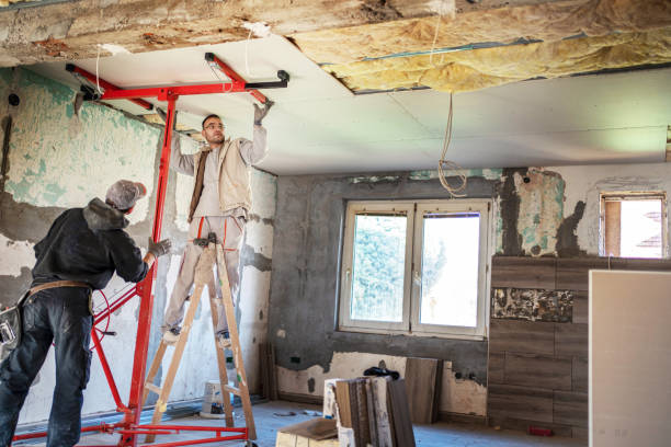 Best Specialized Insulation Services in High Rolls, NM